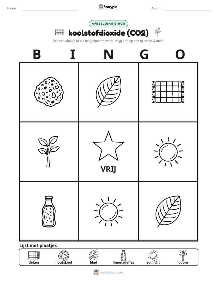 Afbeelding Bingo