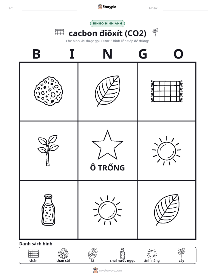Bingo Hình Ảnh