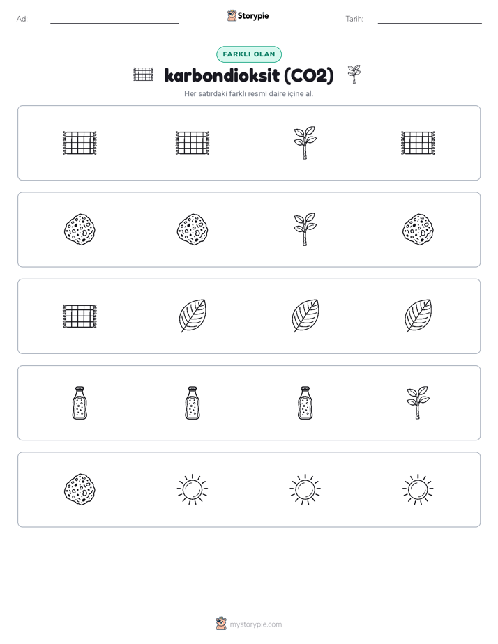 Farklı Olanı Bul