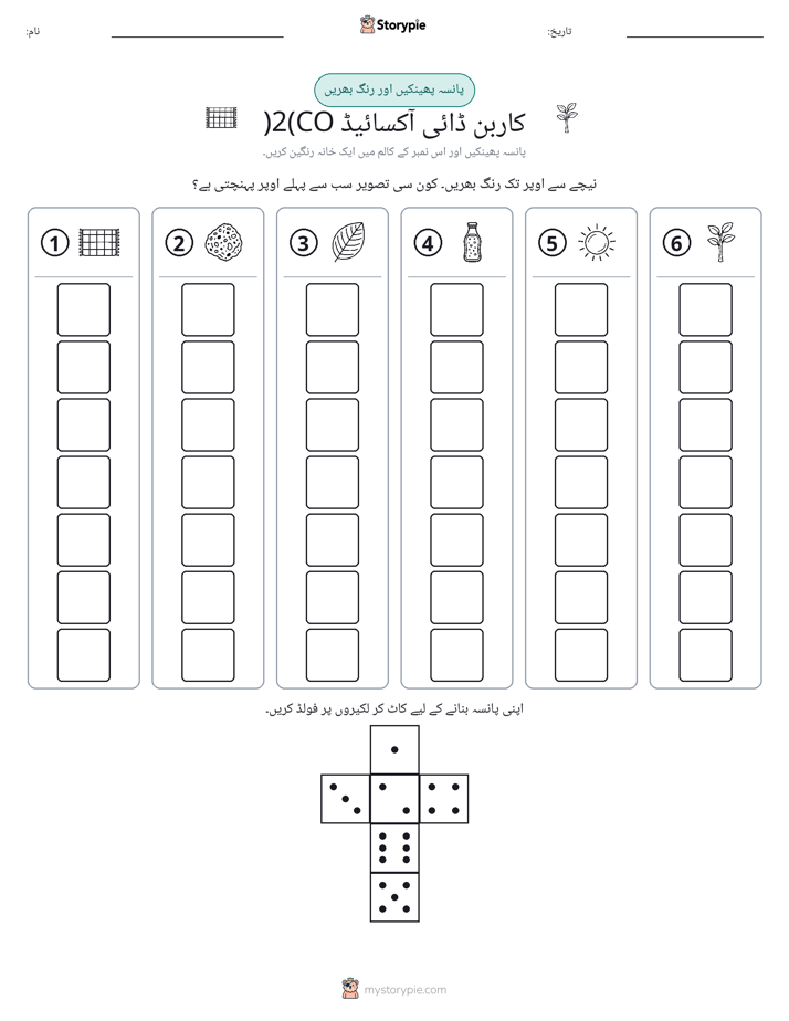رول اور رنگ