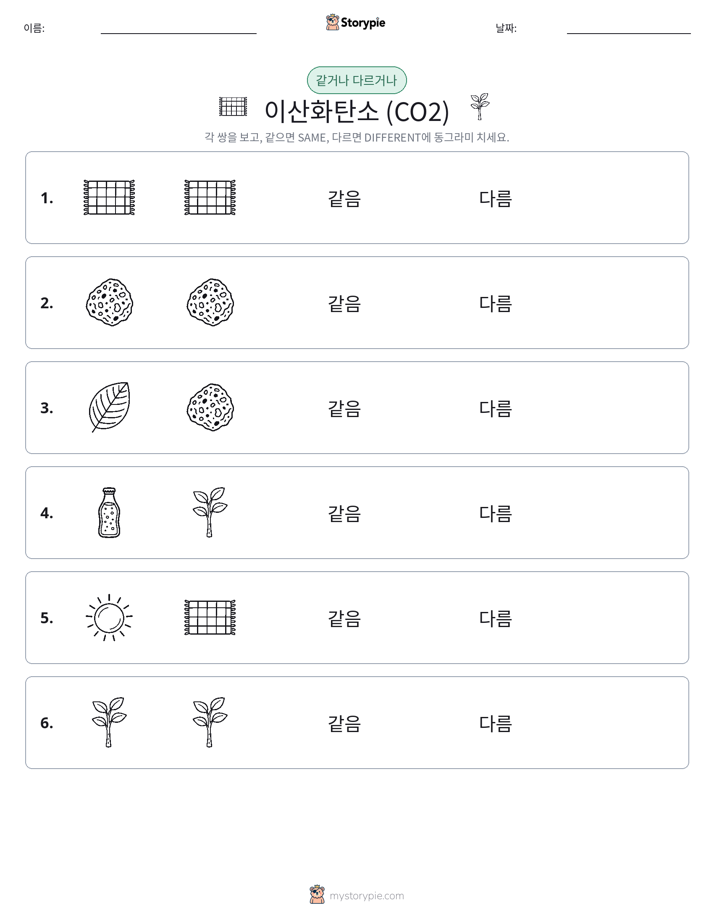 같은 것 또는 다른 것