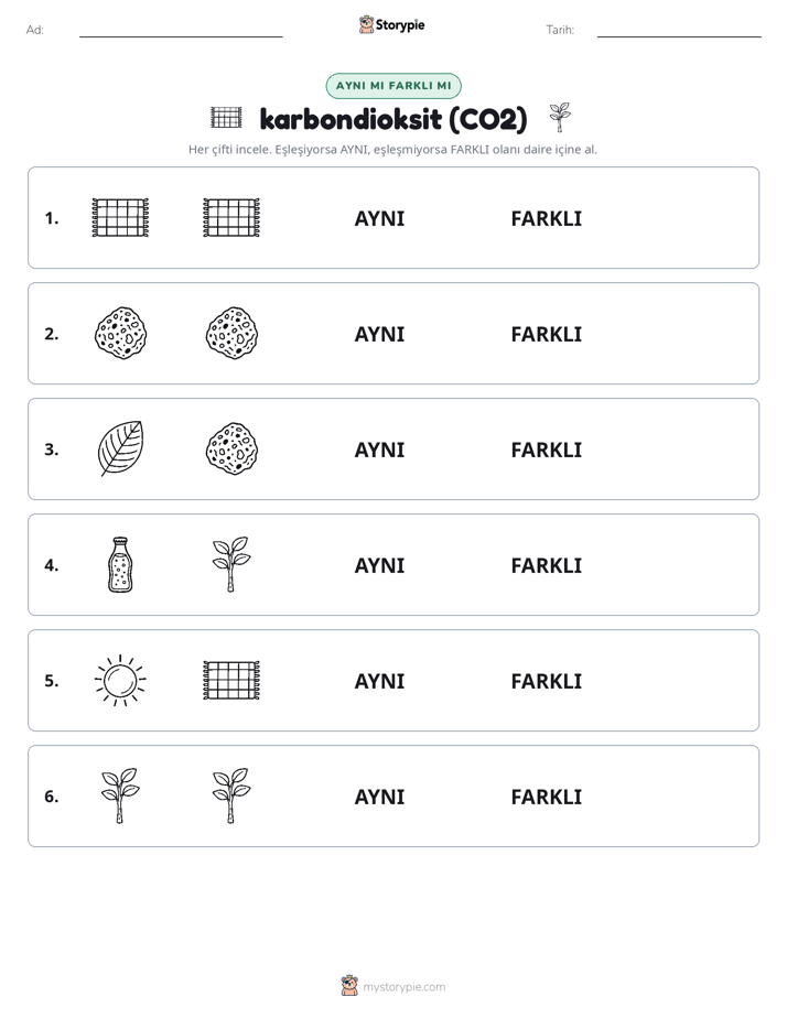 Aynı mı Farklı mı