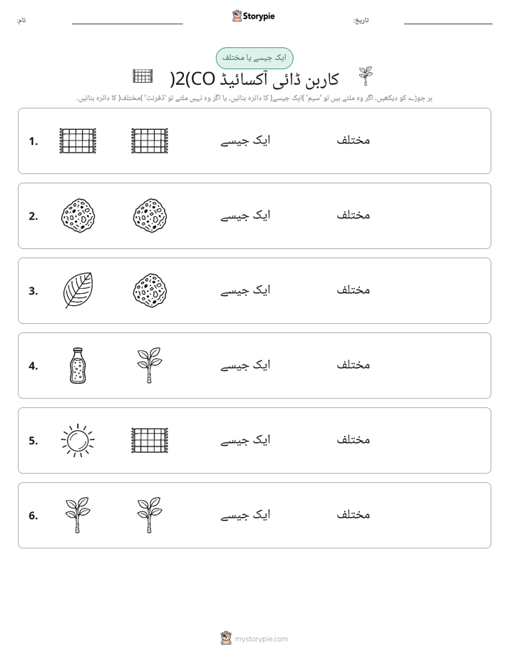 ایک جیسا یا مختلف