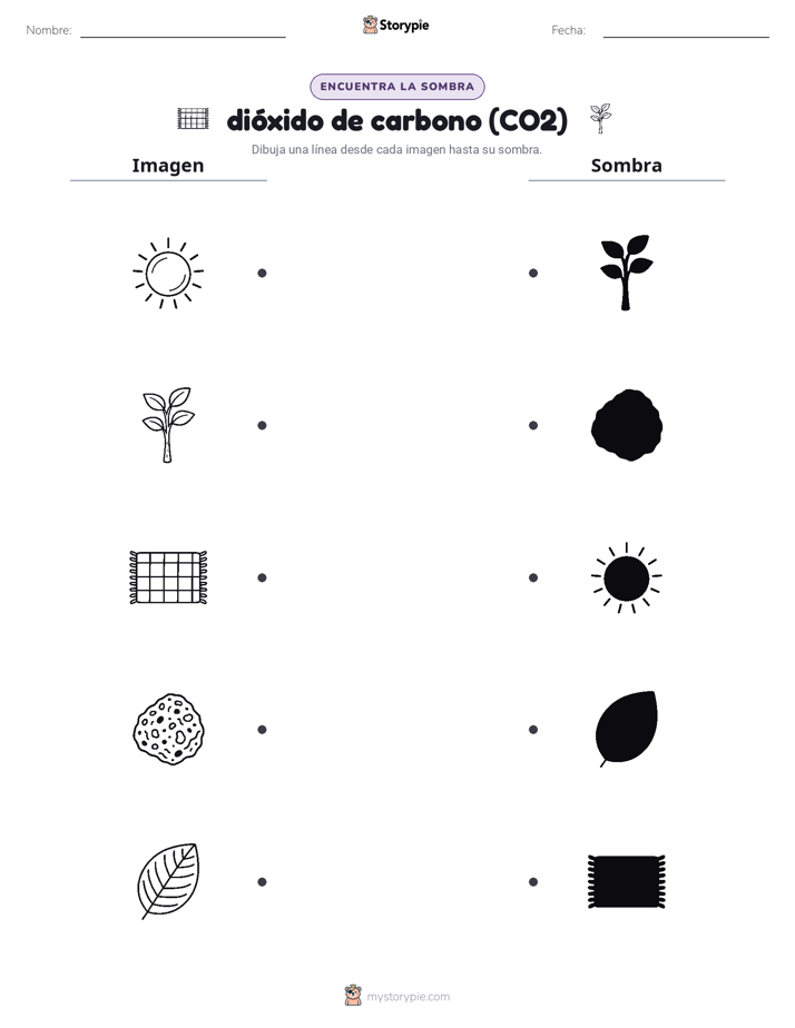 Coincidencia de Sombras