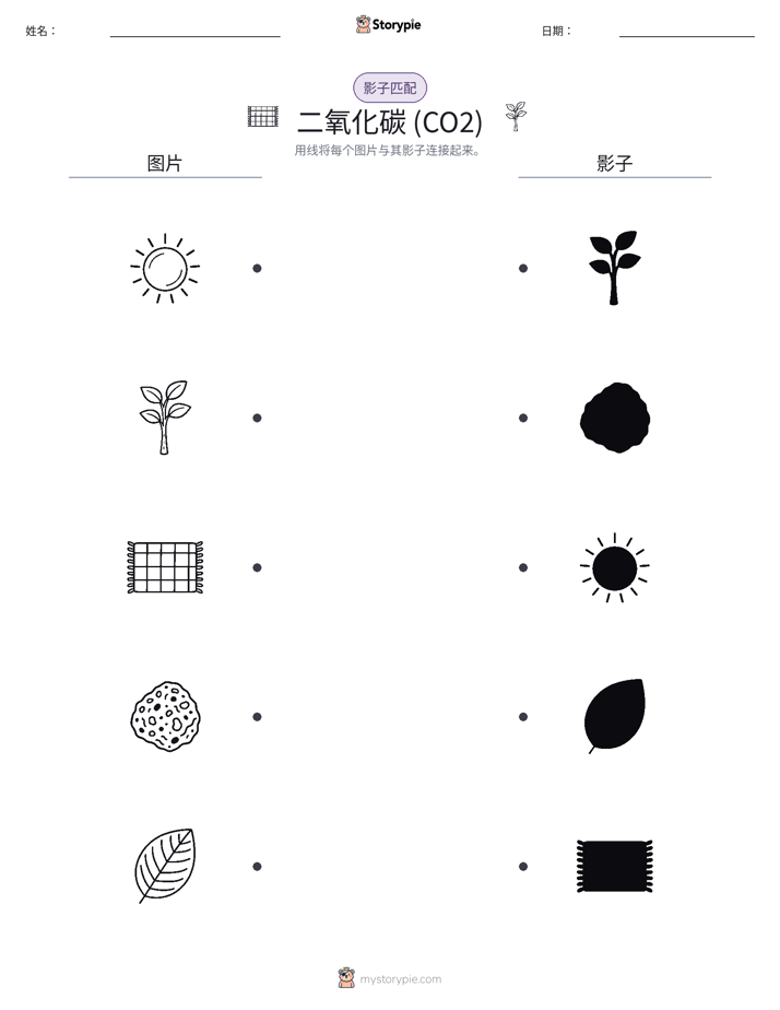 影子匹配
