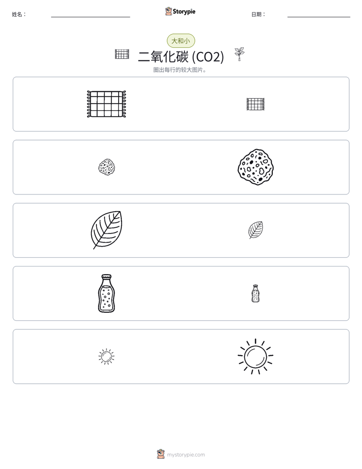 分类