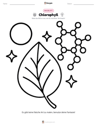 Chlorophyll Malvorlage für Kinder