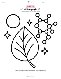 Chlorophyll coloring page for kids