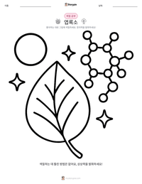 클로로필 어린이 색칠 페이지