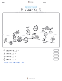 クロロフィル の印刷可能ワークシートプレビュー