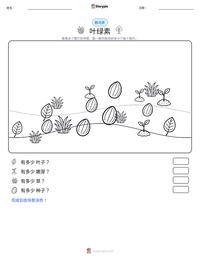 叶绿素 可打印工作表预览