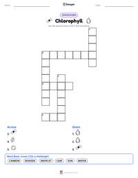 Chlorophyll printable worksheet preview