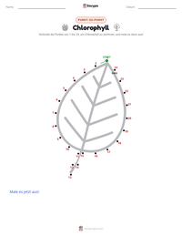 Chlorophyll druckbare Arbeitsblatt Vorschau