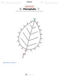 Aperçu de la feuille de travail imprimable Chlorophylle