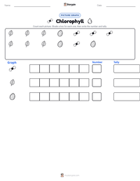 Chlorophyll printable worksheet preview