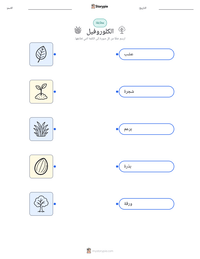 ورقة عمل قابلة للطباعة كلوروفيل للأطفال