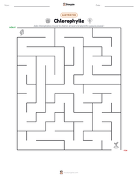 Aperçu de la feuille de travail imprimable Chlorophylle