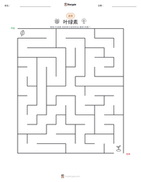 叶绿素 可打印工作表预览
