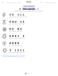 Aperçu de la feuille de travail imprimable Chlorophylle