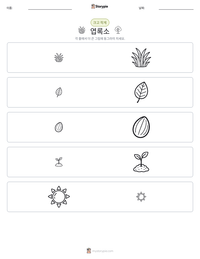 클로로필 인쇄 가능한 워크시트 미리보기