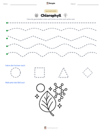 Chlorophyll druckbare Arbeitsblatt Vorschau