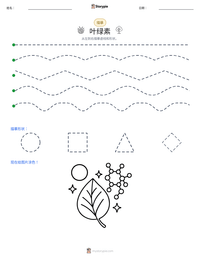 叶绿素 可打印工作表预览
