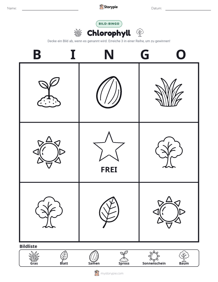 Bild-Bingo