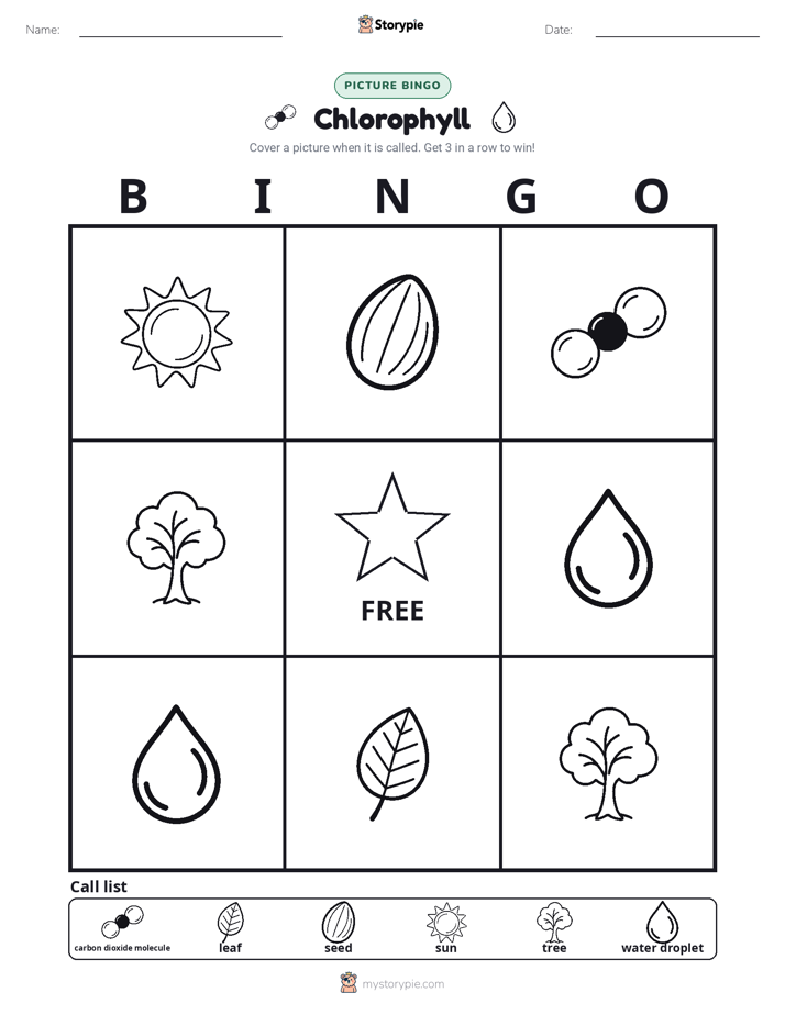Picture Bingo