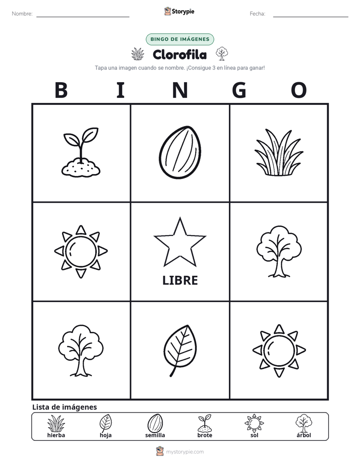Bingo de Imágenes