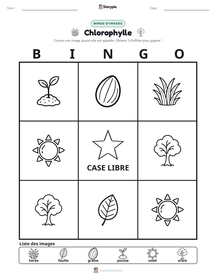 Bingo d'Images