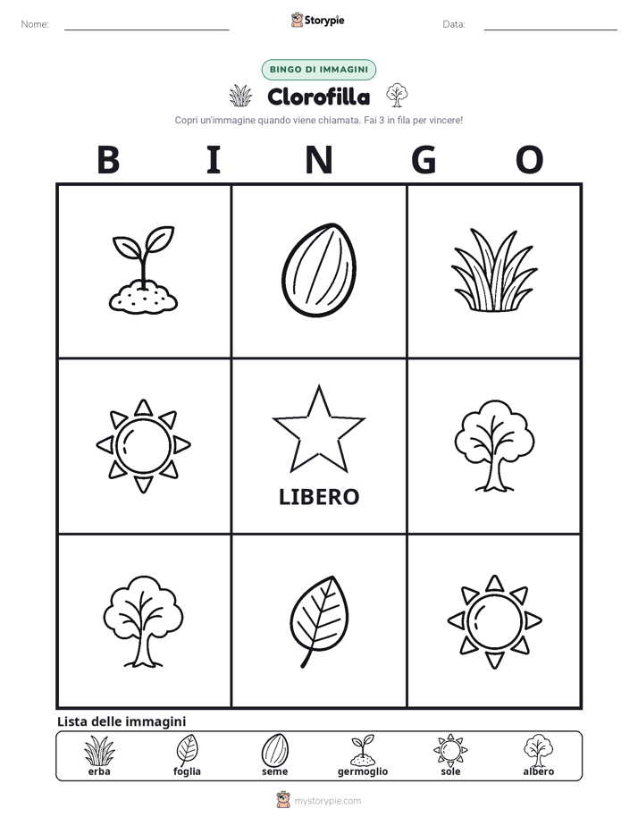 Bingo delle Immagini