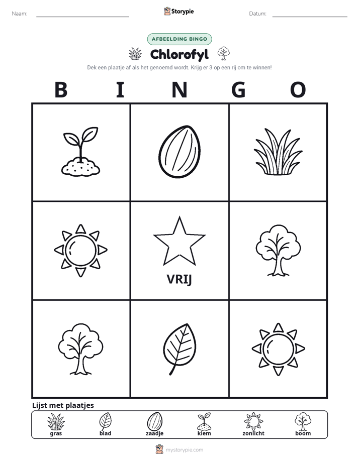 Afbeelding Bingo