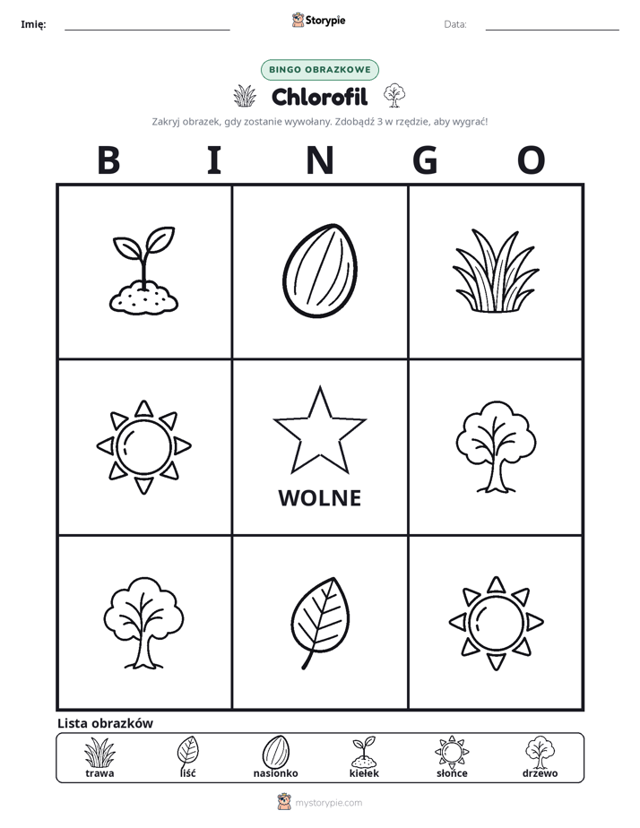 Bingo obrazkowe