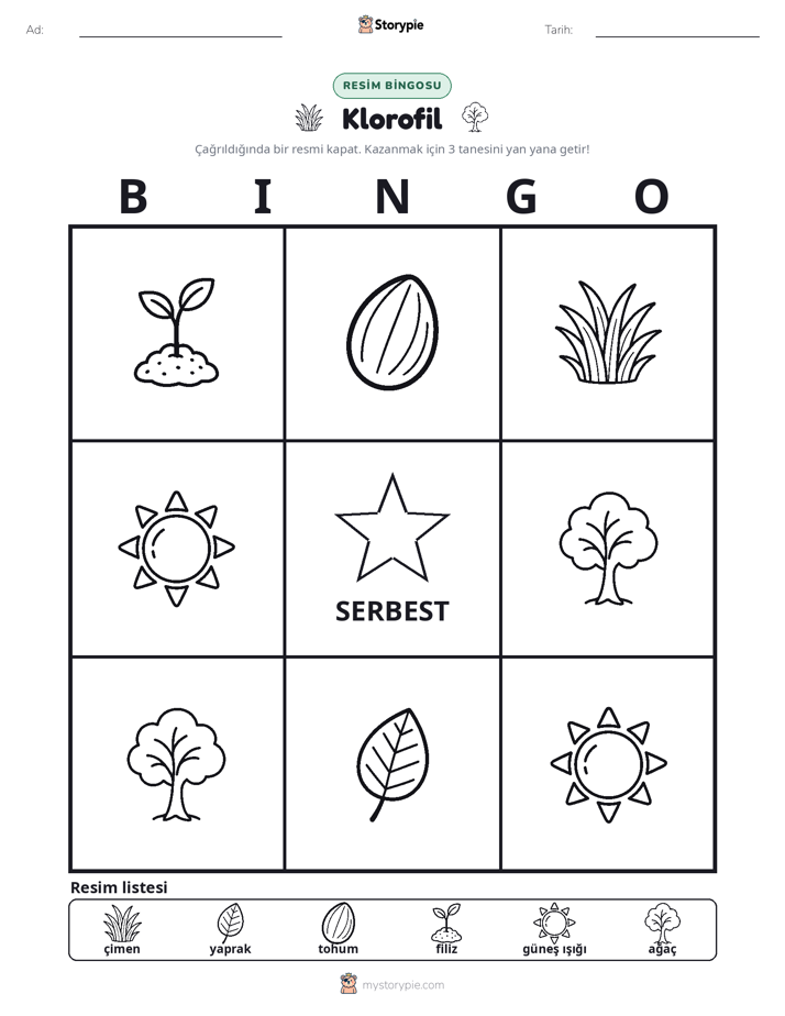 Resim Bingo