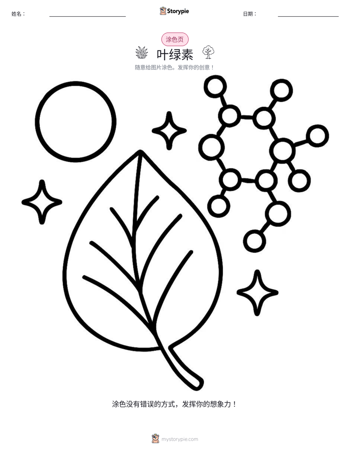 涂色页