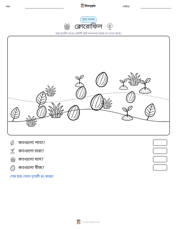গণনা দৃশ্য
