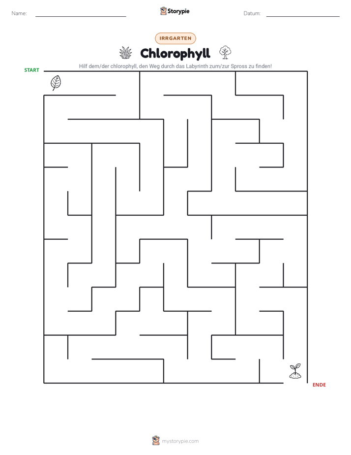 Labyrinth