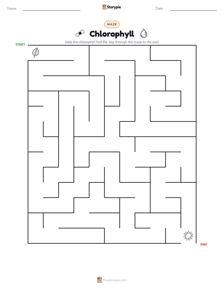 Maze
