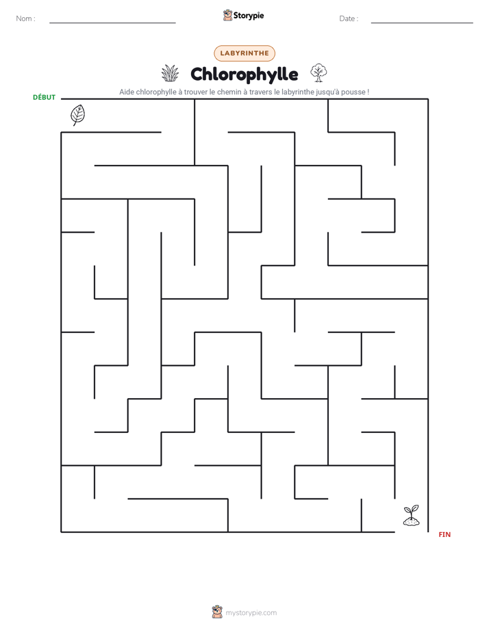 Labyrinthe