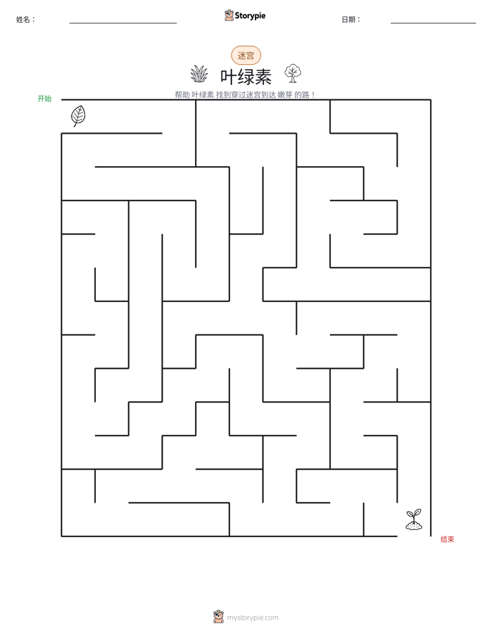 迷宫