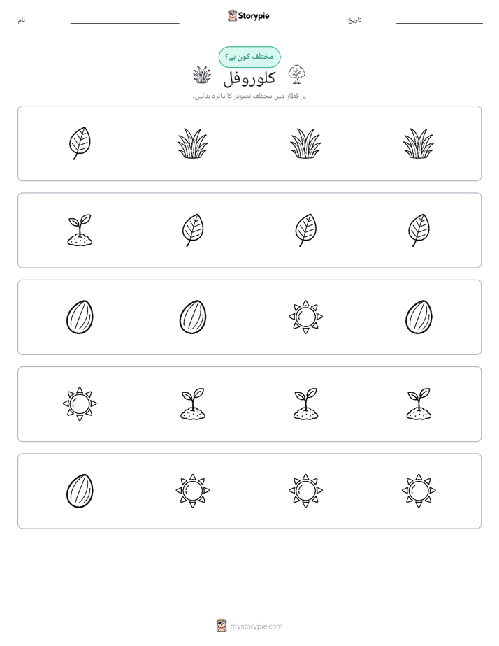 عجیب ایک