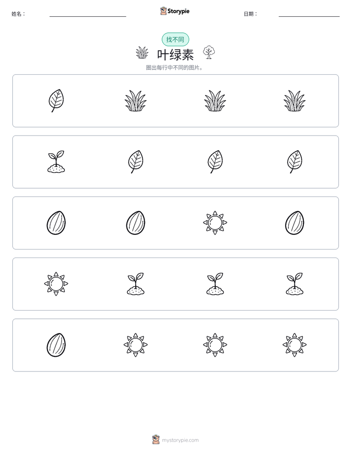 找不同