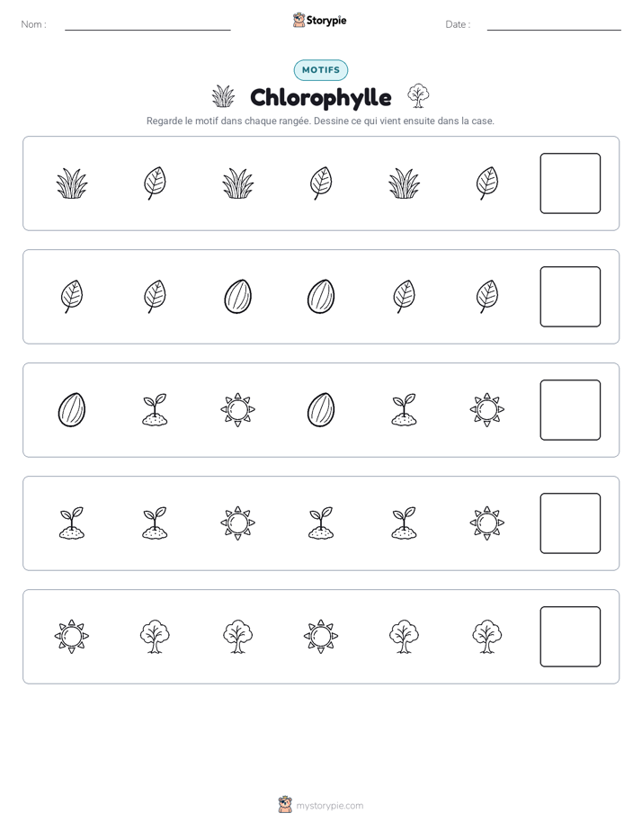 Motifs