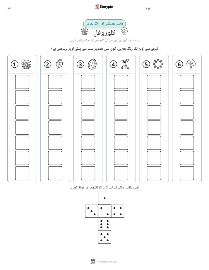 رول اور رنگ