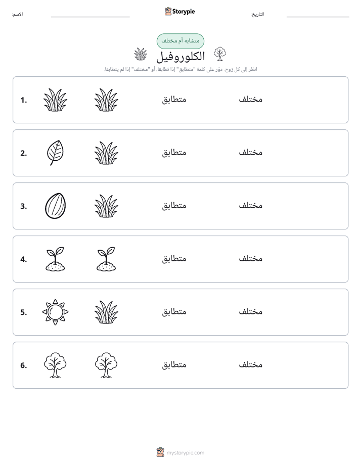 نفس أو مختلف