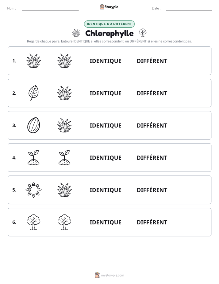 Identique ou Différent