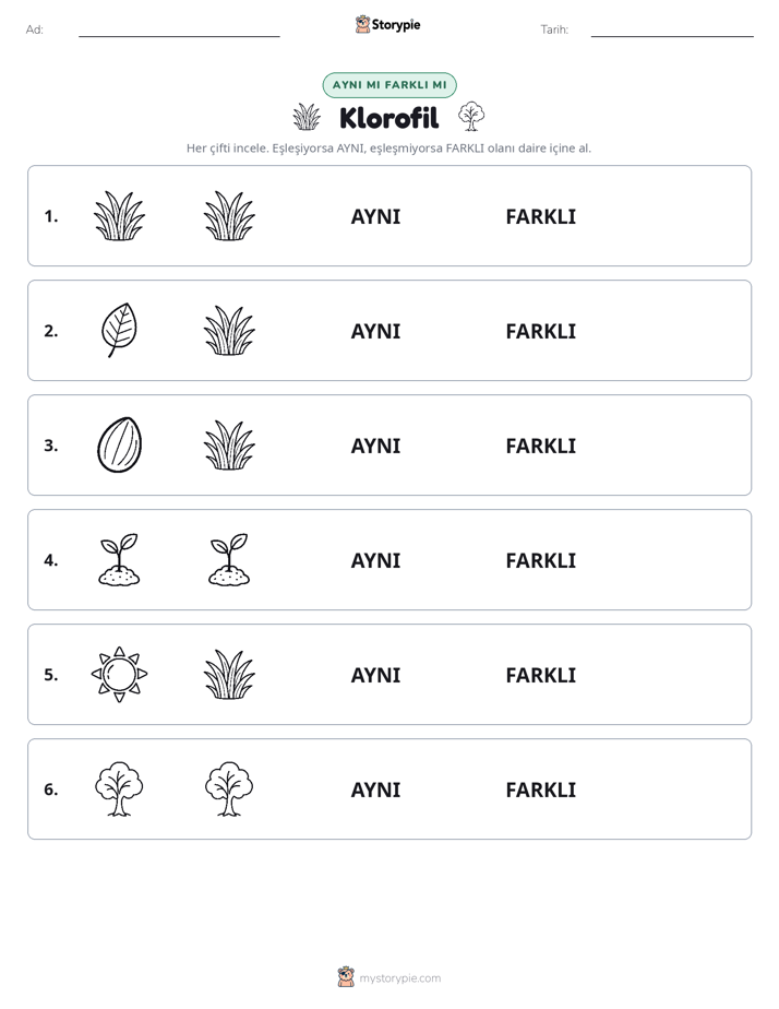 Aynı mı Farklı mı