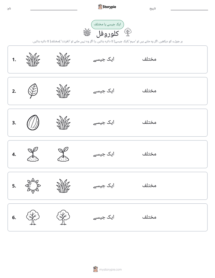 ایک جیسا یا مختلف