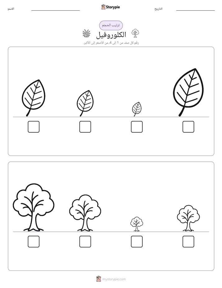 ترتيب الحجم