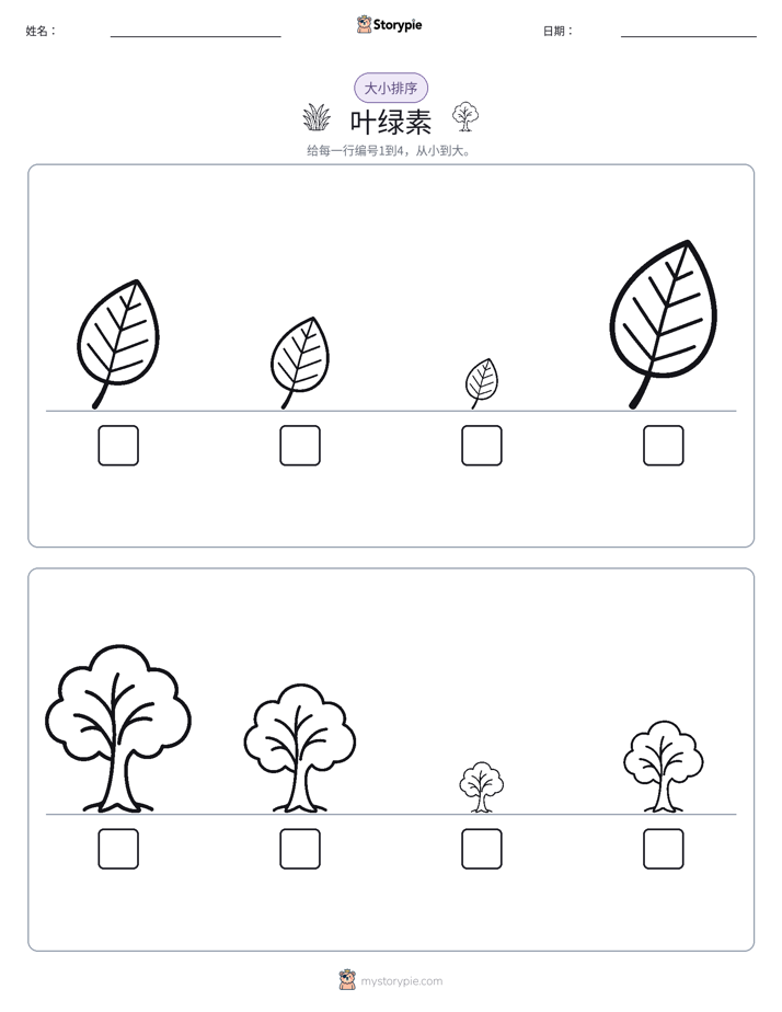 大小排序